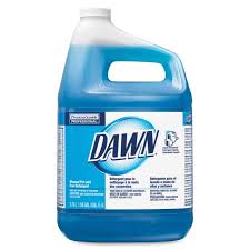 DAWN POT-N-PAN DISHWASH LIQ GAL BTL ORIG BLU 4/CS